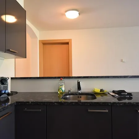 Apartment Ensoleille 4 Personnes A A 100 Metres Des Bains Saillon